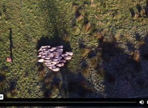 Scherm­afbeelding 2025-12-08 om 14.18.21